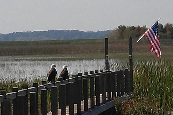 90 minute Everglades Airboat Tour near Orlando Florida - Why the captain can make or break the ride