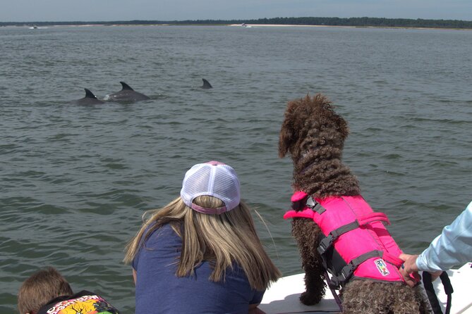 90-Minute Private Dolphin Tour in Hilton Head Island - Searching the Cooper River and Daufuskie Island