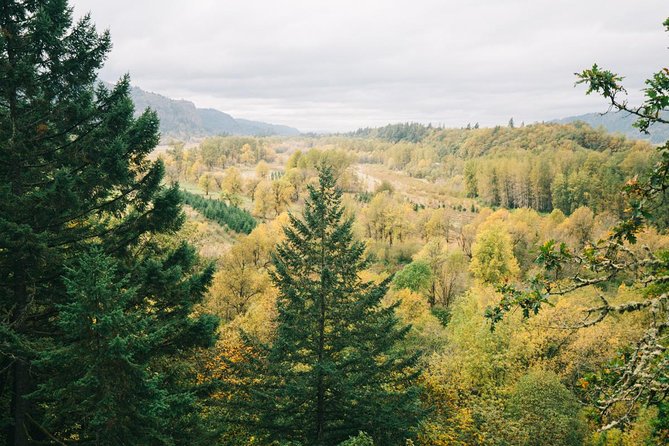 Afternoon Half-Day Multnomah Falls and Columbia River Gorge Waterfalls Tour from Portland - Is $85 a fair price?
