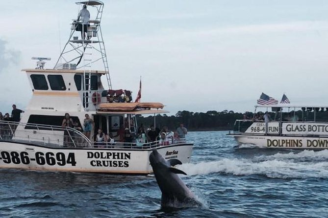 Alabama Gulf Coast Dolphin Cruise - Orange Beach is the starting point