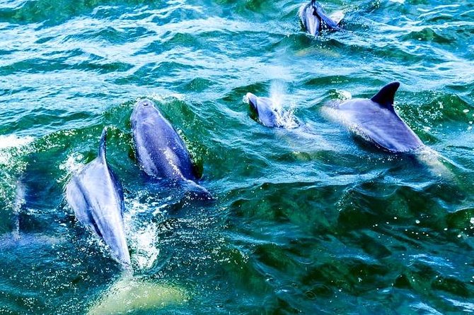 Alabama Gulf Coast Dolphin Cruise - The first stretch of the two-hour cruise