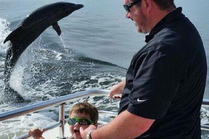 Alabama Gulf Coast Dolphin Cruise - A clean, comfortable boat with a relaxed pace