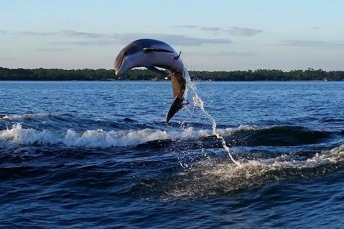 Alabama Gulf Coast Dolphin Cruise - Life jackets and family rules
