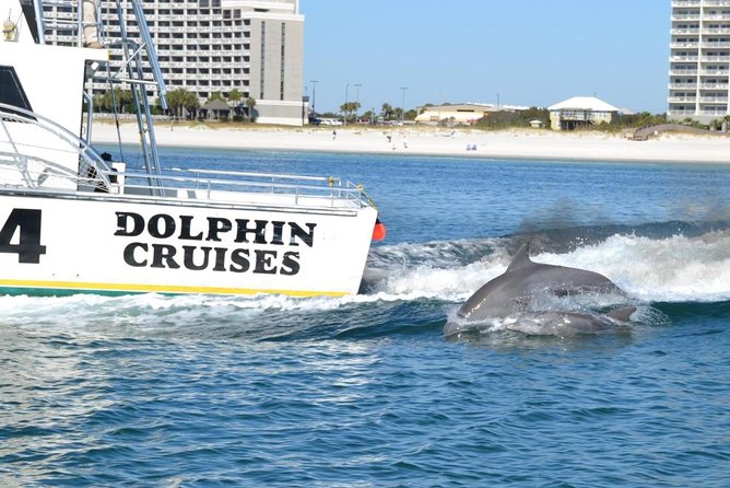 Alabama Gulf Coast Dolphin Cruise - Who should book this Orange Beach cruise