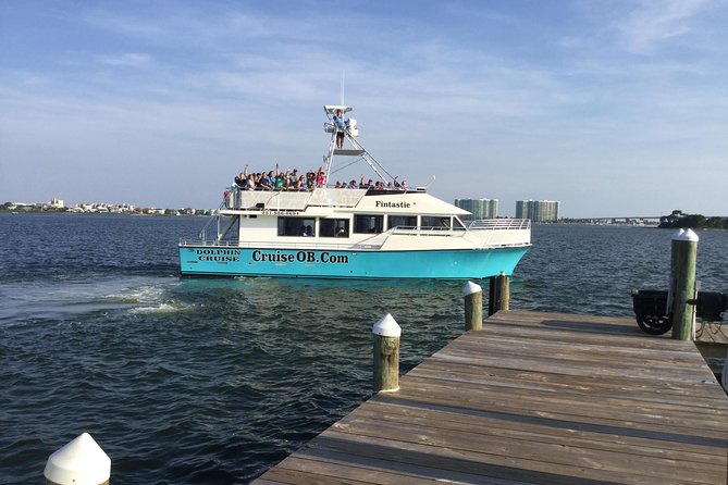 Alabama Gulf Coast Dolphin Cruise - Finding dolphins in their natural habitat