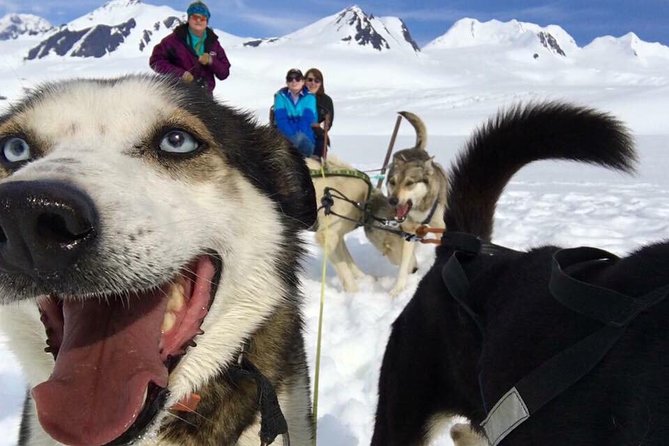 Alaska Helicopter and Glacier Dogsled Tour - ANCHORAGE AREA - From Palmer to the Church Range by helicopter