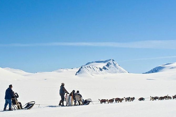 Alaska Helicopter and Glacier Dogsled Tour - ANCHORAGE AREA - The return flight through blue ice and crevasses