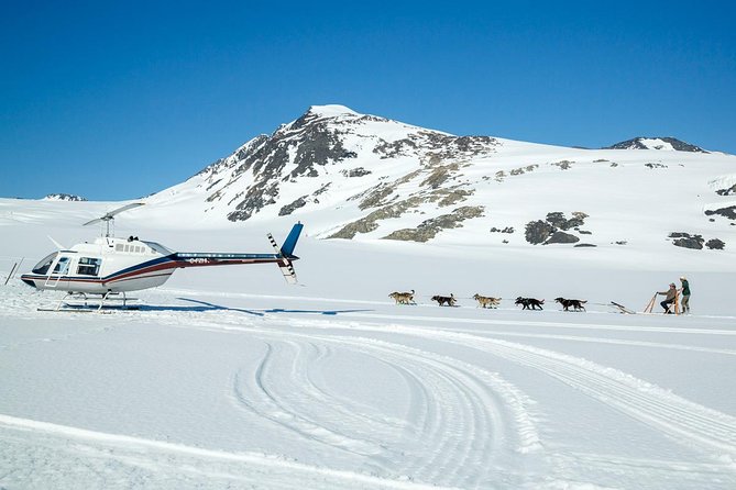 Alaska Helicopter and Glacier Dogsled Tour - ANCHORAGE AREA - Weather, clothing, and practical limits