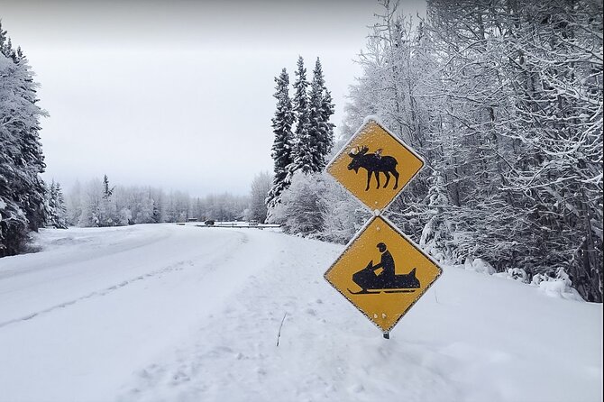 Alaska Snowmobile Adventure Tour - Forest paths, hills, and frozen water
