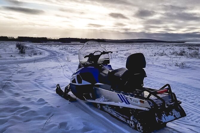 Alaska Snowmobile Adventure Tour - Is $112.50 a fair price?