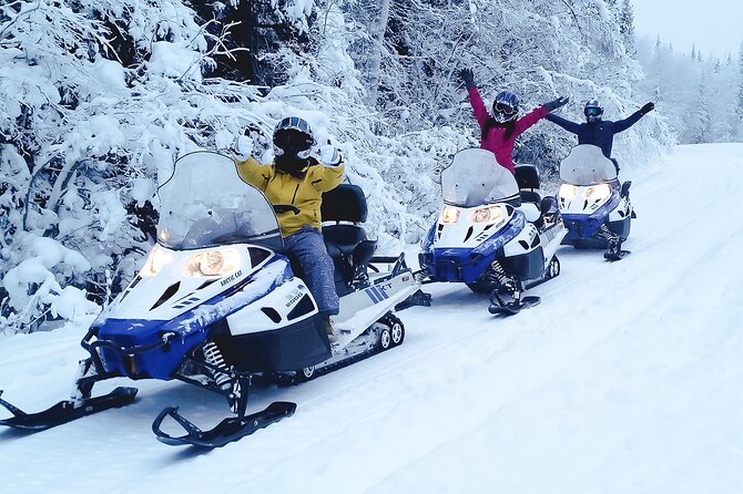 Alaska Snowmobile Adventure Tour - Who will enjoy this ride most