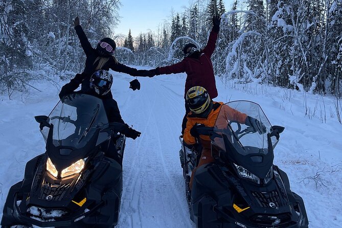 Alaska Snowmobile Adventure Tour - Should you book the Alaska Snowmobile Adventure?