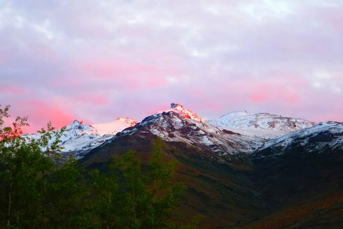Alaskan Back Country Side by Side ATV Adventure with Meal - Who should book this ride