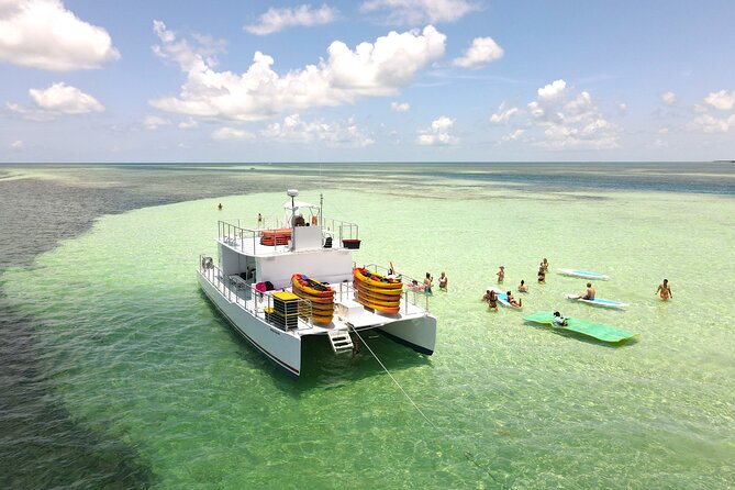 All-Inclusive Sandbar Safari with Dolphin Playground Encounter - Lunch, beer, wine, and the social atmosphere