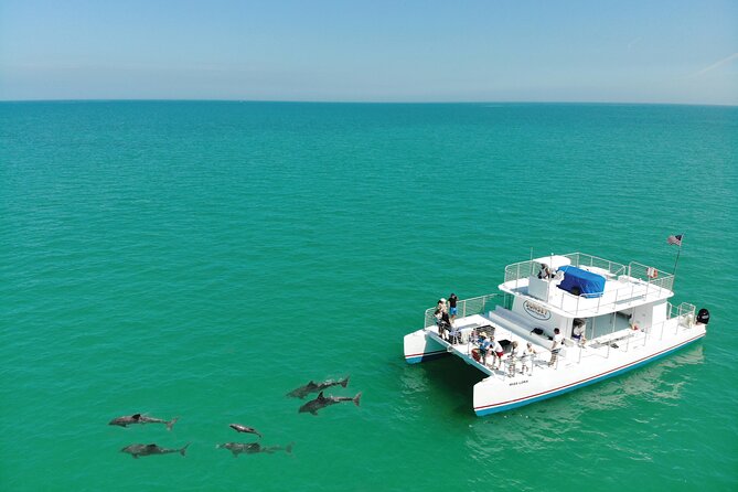 All-Inclusive Sandbar Safari with Dolphin Playground Encounter - What the reviews reveal about value