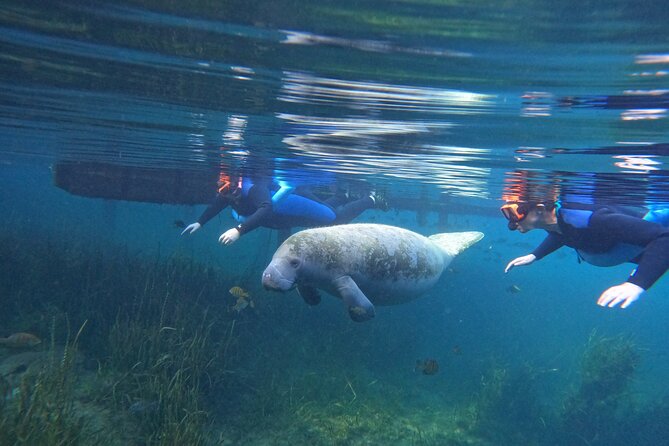 All-Inclusive Small Group Manatee Swim with Free Photos - Why the six-person boat changes the day