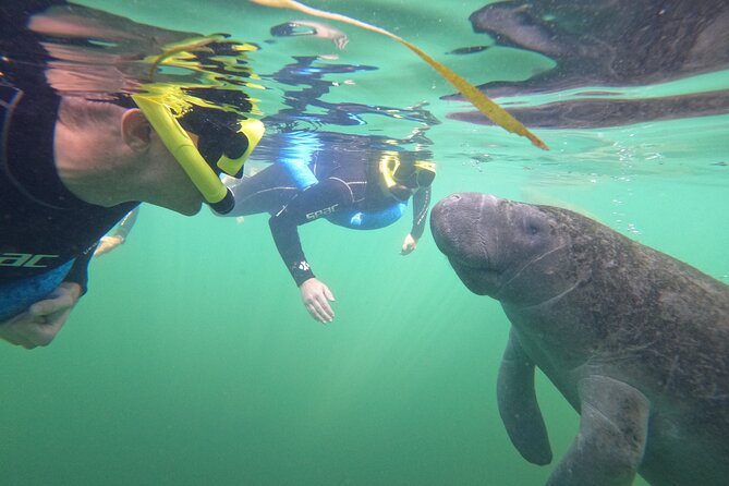 All-Inclusive Small Group Manatee Swim with Free Photos - Wetsuits, water temperature, and the hot-chocolate question
