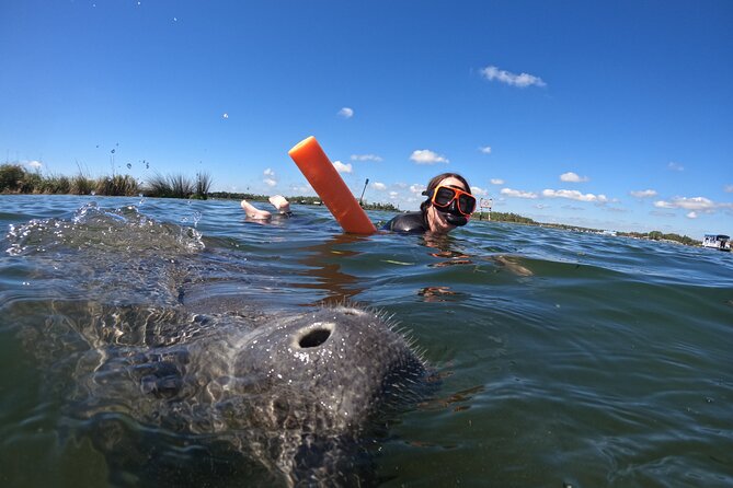 All-Inclusive Small Group Manatee Swim with Free Photos - Who will enjoy this Crystal River outing most?