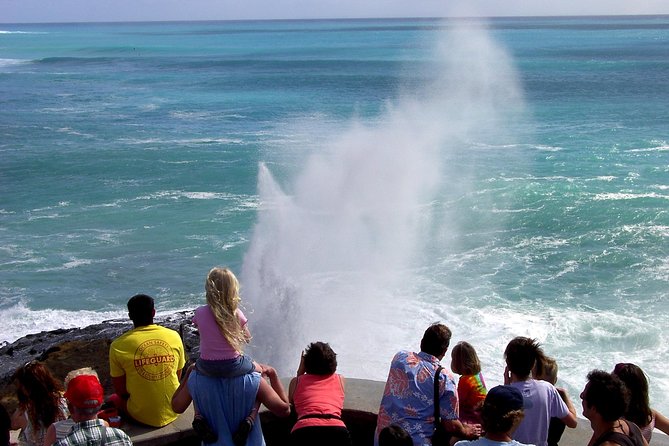 All Inclusive Ultimate Circle Island Tour, Waimea Falls & Lunch - Waimea Valley and the walk to the waterfall