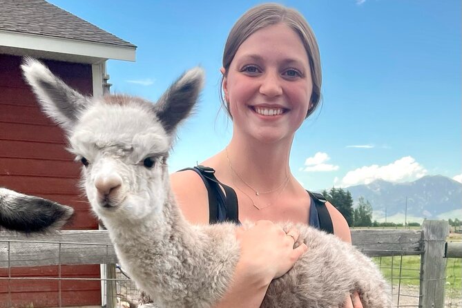 Alpaca and Llama Farm Tour - Meeting alpacas and llamas near Bozeman