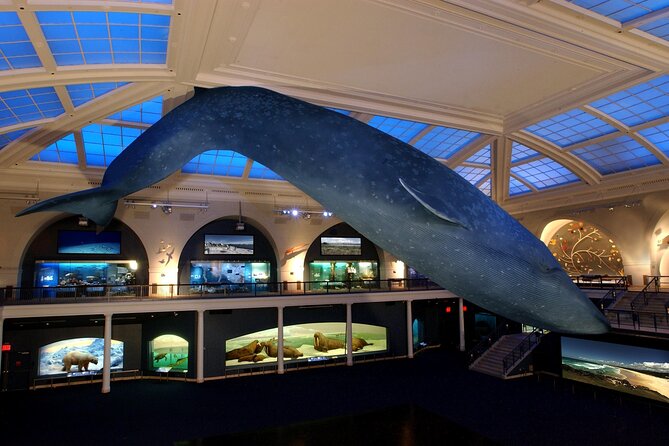 American Museum of Natural History Admission Ticket - The blue whale in Milstein Hall