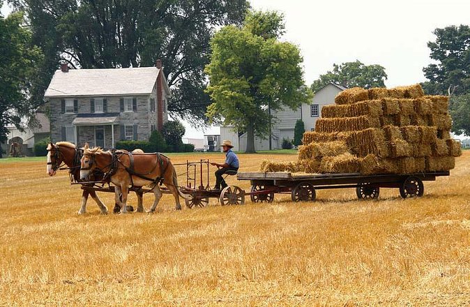 Amish Experience SuperSaver Package - Key points to know before you go