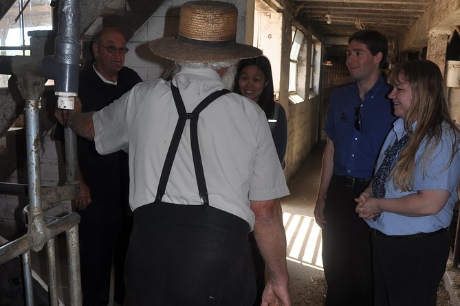 Amish Experience Visit-In-Person Tour - Why the 14-person limit matters