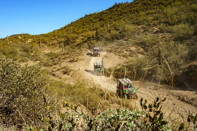 Ancient Ruins Tour - Guided Arizona Desert Tour by UTV - Finding the Hohokam ruins