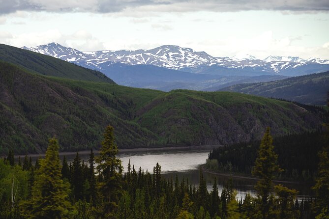 Arctic Circle Day Tour - Why this Arctic Circle trip is really about the road north