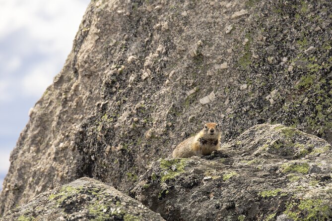 Arctic Circle Day Tour - Finger Mountain gives you a real tundra walk