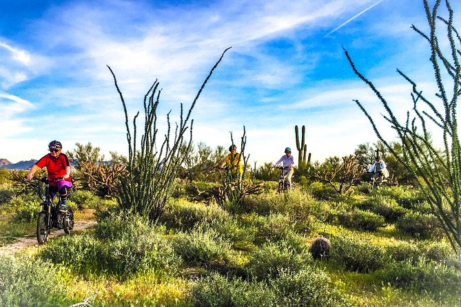 Arizona Desert Guided E-Bike Adventure - From LIMóN Urban Kitchen to the Sonoran Desert