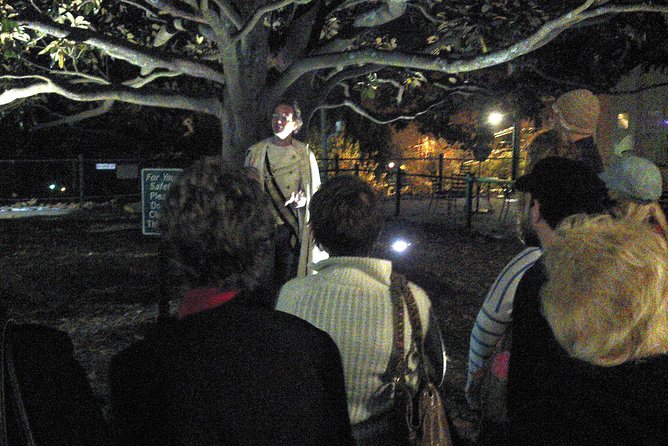 Asheville Night-Time Walking Ghost Tour - Walking conditions, group size, and safety