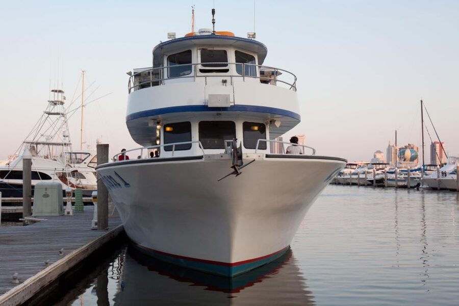 Atlantic City: Dolphin Watching Ocean Cruise Adventure - Rough water, wind, and motion sickness