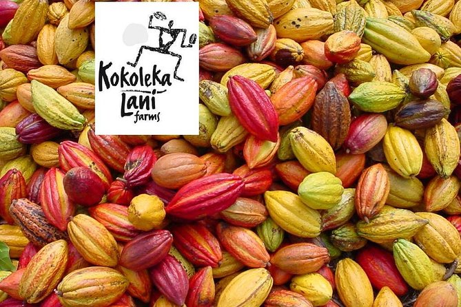 Award Winning Farm Tour: Coffee, Chocolate and Unique Gifts - Coffee and chocolate made on the farm
