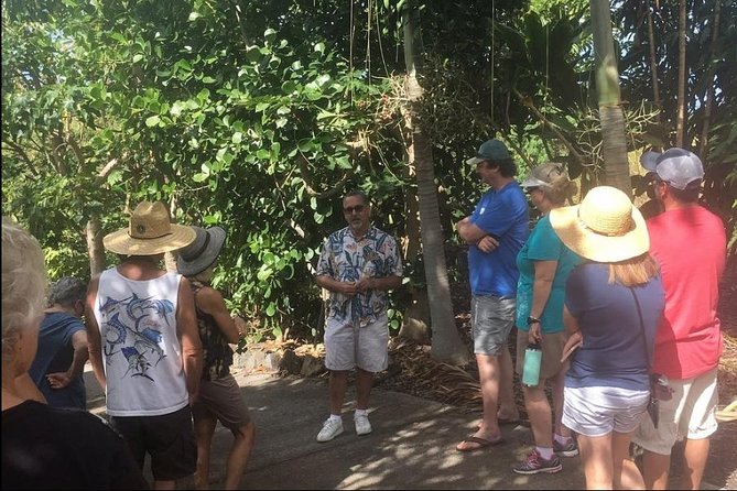Award Winning Farm Tour: Coffee, Chocolate and Unique Gifts - Walking among coffee and cacao plants