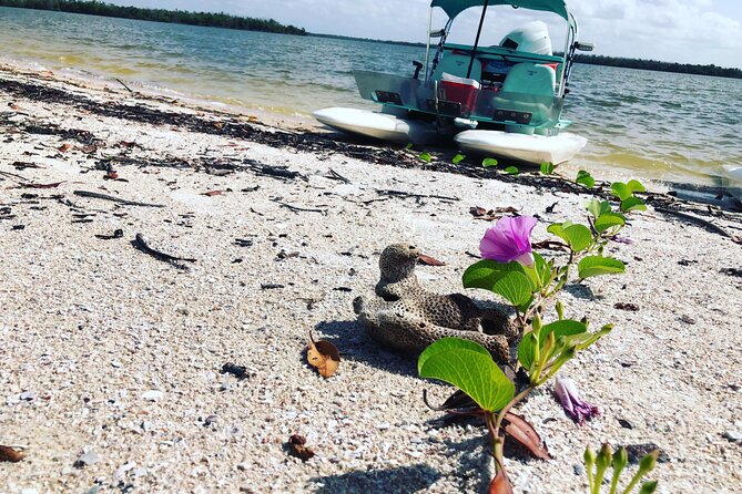 Backwater Adventure's CraigCat Tours of the 10,000 Islands - San Marco Marina in Goodland