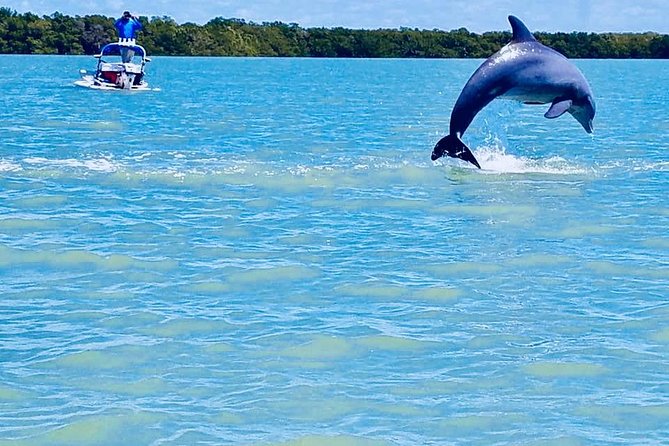 Backwater Adventure's CraigCat Tours of the 10,000 Islands - Mangrove channels and open-water speed