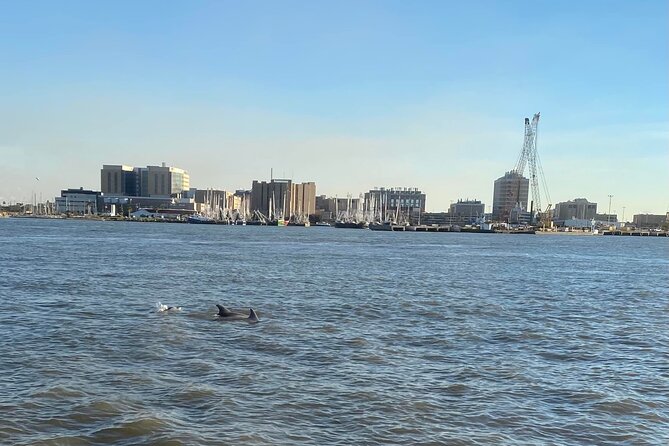Baywatch Dolphin Tours – Pier 21 Galveston - Arriving at Pier 21 and Boarding