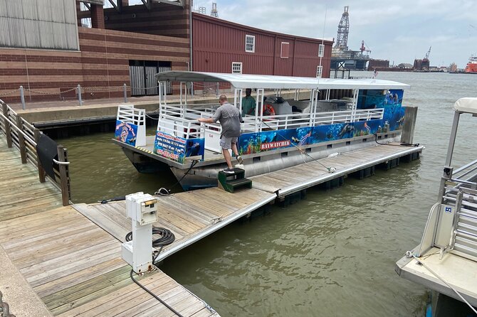 Baywatch Dolphin Tours – Pier 21 Galveston - The 45-Minute Cruise Through Galveston Harbor