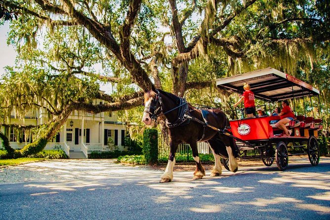 Beaufort’s #1 Horse & Carriage History Tour - Key points to know before you book
