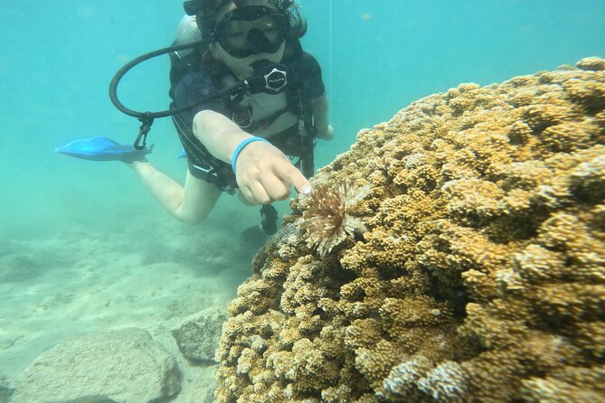 Beginner Scuba Diving Experience with Video Package in Honolulu - A calm first step into scuba near Waikiki