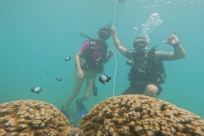 Beginner Scuba Diving Experience with Video Package in Honolulu - Shallow-water practice builds confidence