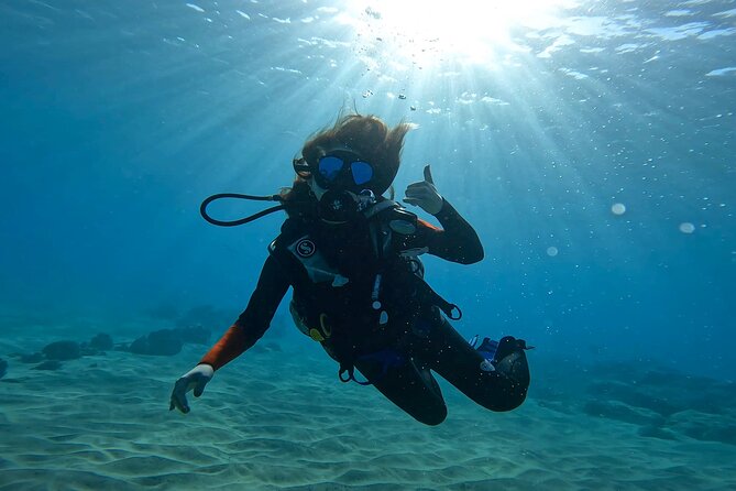 Beginner Scuba Diving Experience with Video Package in Honolulu - Is $77 a fair price?