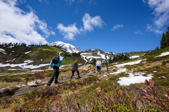 Best of Mount Rainier National Park from Seattle: All-Inclusive Small-Group Tour - Christine Falls and Narada Falls
