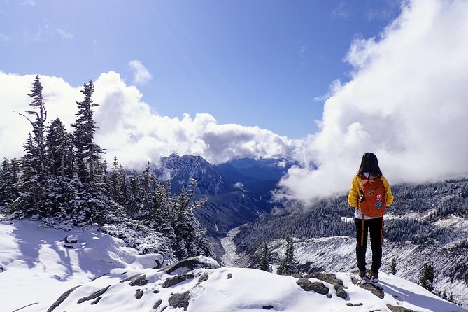 Best of Mount Rainier National Park from Seattle: All-Inclusive Small-Group Tour - Paradise: the main event at Mount Rainier