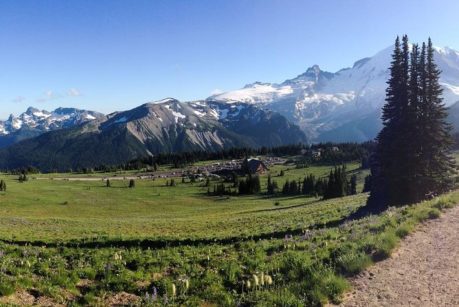 Best of Mount Rainier National Park from Seattle: All-Inclusive Small-Group Tour - Sunrise and route changes