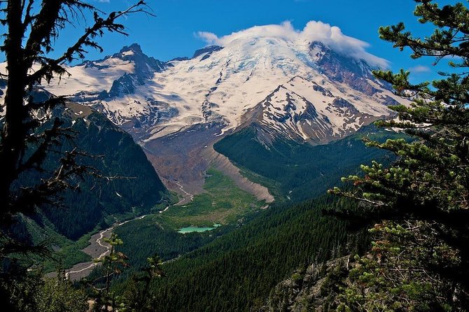 Best of Mount Rainier National Park from Seattle: All-Inclusive Small-Group Tour - Longmire: old trees, springs, and an easy first look