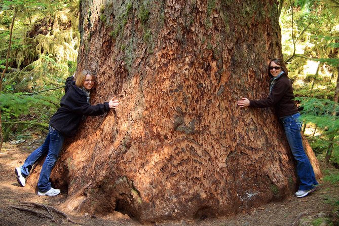 Best of Olympic National Park from Seattle: All-Inclusive Small-Group Day Tour - Why this day trip works from Seattle