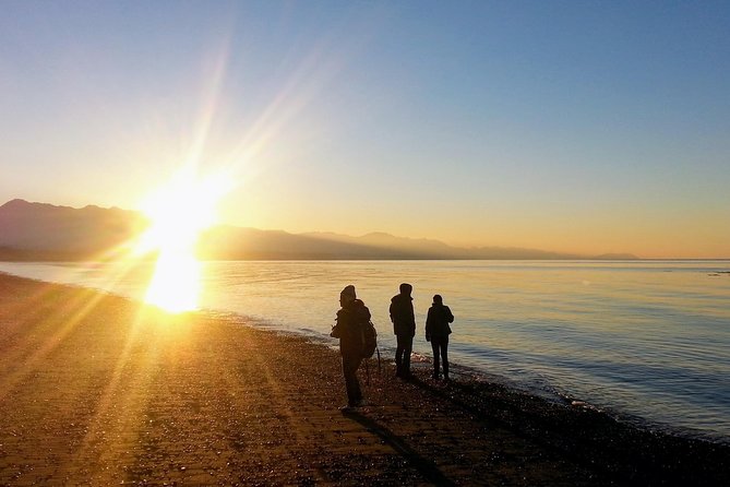 Best of Olympic National Park from Seattle: All-Inclusive Small-Group Day Tour - Crossing the Olympic Peninsula and Hood Canal