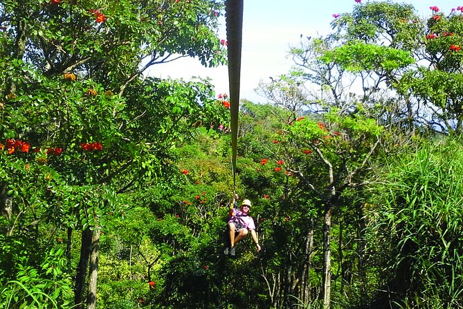 Big Island: 8-Zipline & Suspension Bridge Waterfall Adventure - Eight ziplines through a Hawaiian rainforest